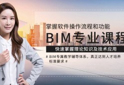 國際BIM工程師,bim工程師國家官網