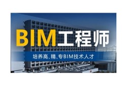 有bim工程師這個(gè)職業(yè)嗎,有bim工程師這個(gè)職業(yè)嗎女生