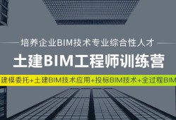 bim工程師需要會的軟件,bim專業工程師需要什么資歷