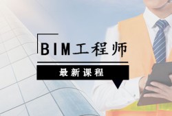 bim裝飾工程師培訓(xùn),全國bim裝飾工程師考試用書由什么出版