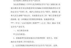 監理工程師的責任,監理工程師的責任和義務