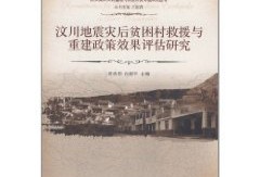 地震救援結構工程師安全評估報告地震救援結構工程師安全評估