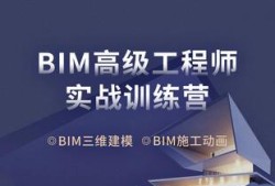 bim工程師專業(yè)技能培訓(xùn)教材bim工程師高效直通班