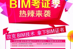 bim工程師掛靠多少錢年薪的簡單介紹