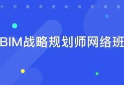 bim戰(zhàn)略工程師是干什么的,bim入庫騙局