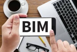 關于bim高級工程師實戰訓練營的信息