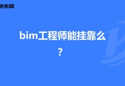 bim工程師那個出的最好bim工程師考哪個軟件