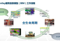 bim工程師的發(fā)展前景的簡單介紹