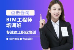 做bim工程師學(xué)什么,做bim工程師學(xué)什么專業(yè)