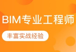 bim工程師的專業劃分,bim工程師的前景怎么樣