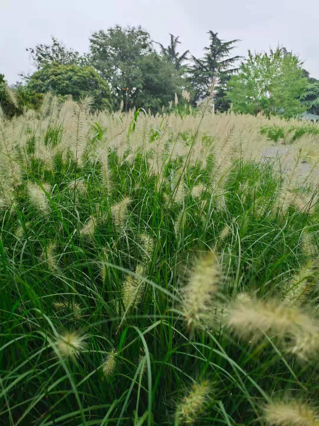 曾德植監理工程師,監理工程師報考條件  第2張