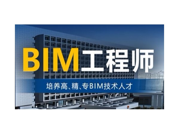 有bim工程師這個(gè)職業(yè)嗎,有bim工程師這個(gè)職業(yè)嗎女生  第1張