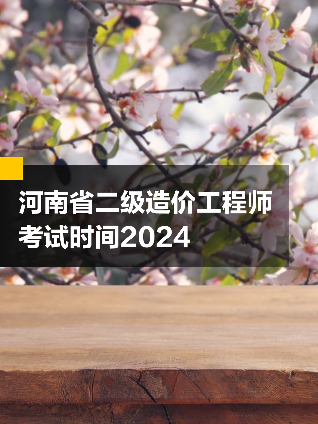 河南省造價工程師,河南省造價工程師協會張軍偉簡歷  第1張